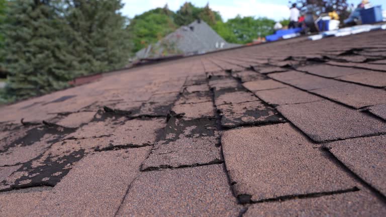 Asphalt Shingles Roofing in Malden, MA