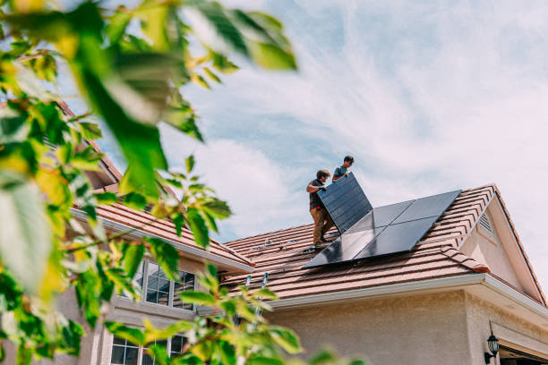 Best Roof Moss and Algae Removal  in Lden, MA