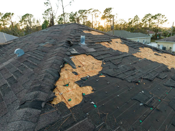 Best Steel Roofing  in Lden, MA
